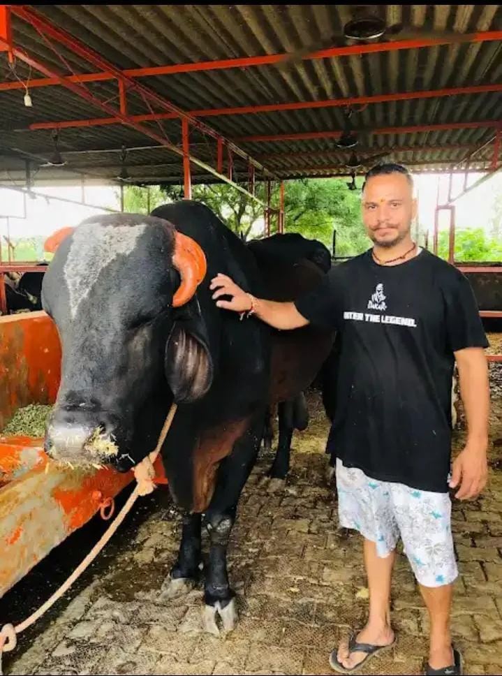 Shri Radhanpur Khodador Gaushala